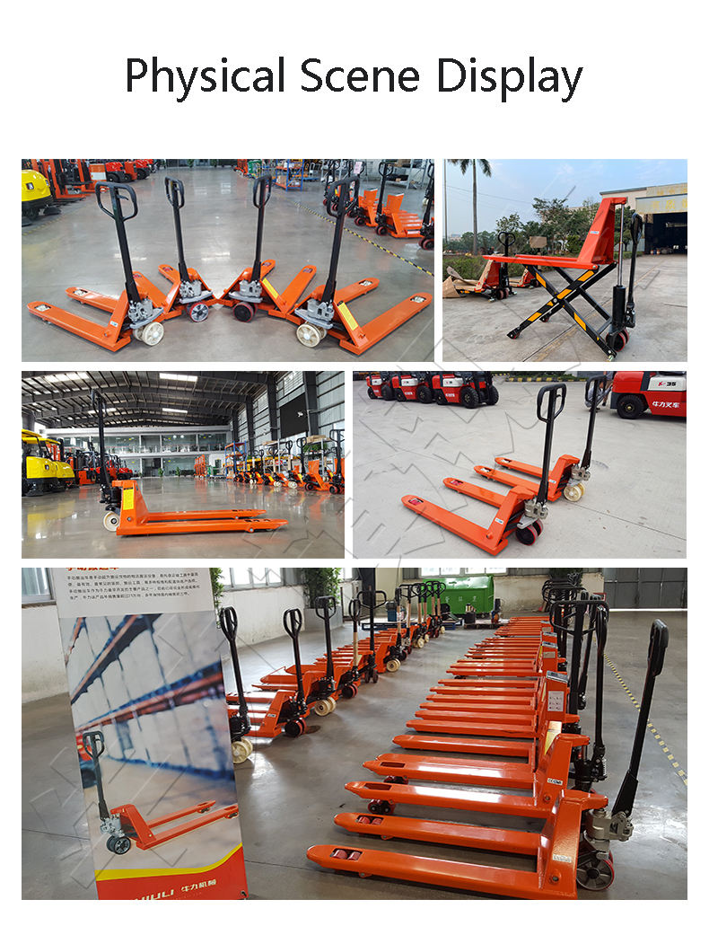 Manual Forklift Hand Pallet Truck
